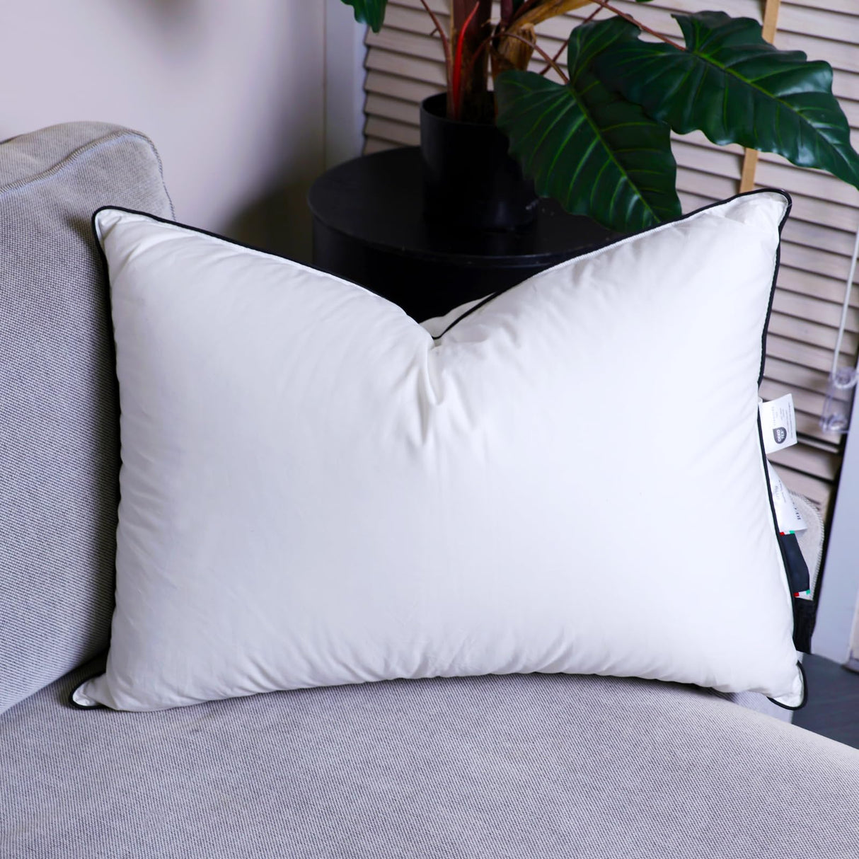 White Down Pillow - Luxury Down Pillows Queen Size - High Fill Power 100% Cotton Shell