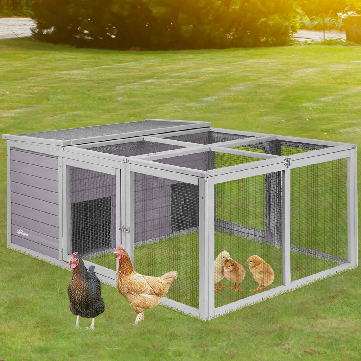 Walk in Chicken Coop, Chicken House Coop, Chicken Coop
