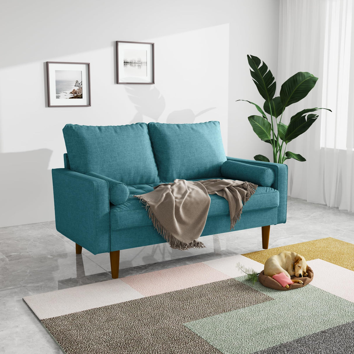 Couches for Living Room 58 Inches Small Couch for Small Spaces Comfy Sofas for