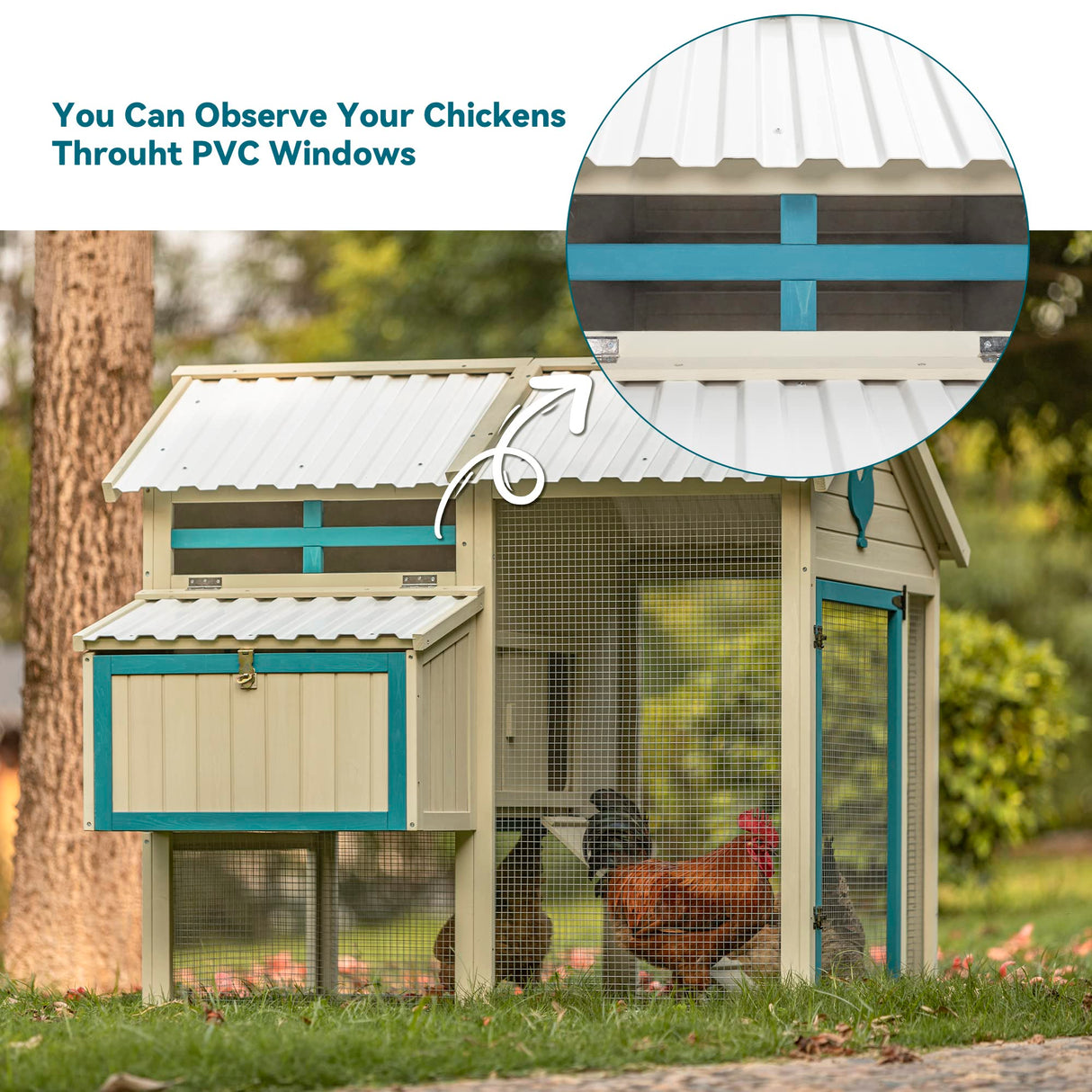 ClearTop Chicken Coop with Nesting Box & Transparent Panels