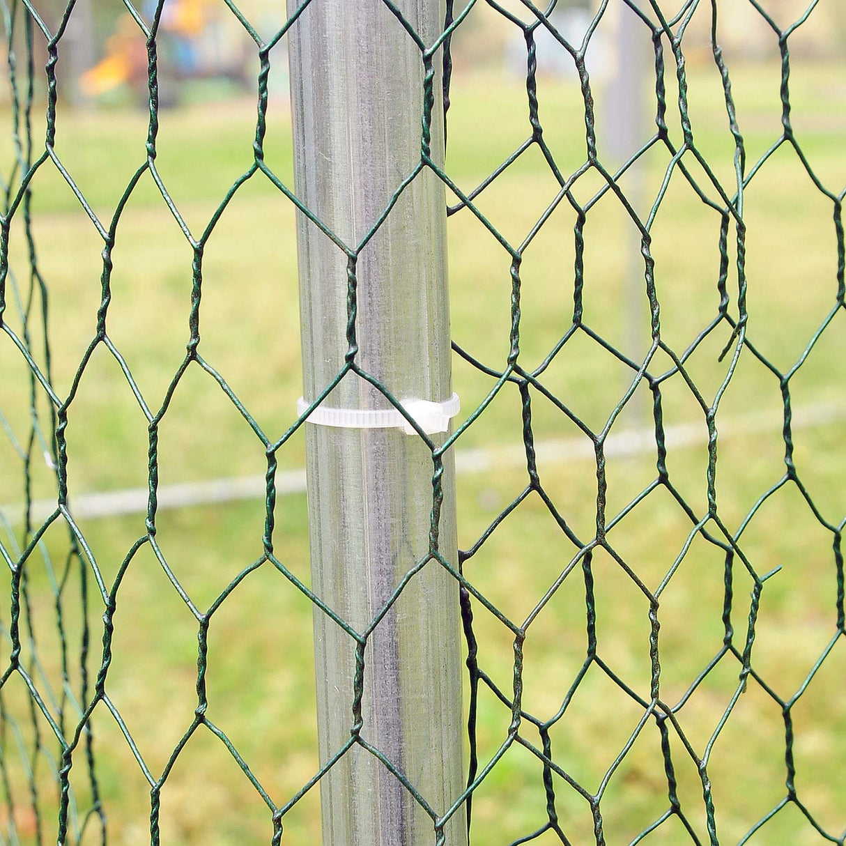 Large Metal Chicken Coop for 20 Chickens Walk in Poultry Cage