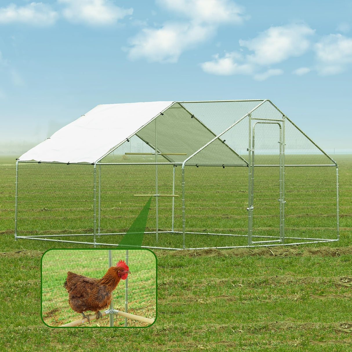 Large Chicken Run Metal Chicken Coops with Chicken Perch, Outdoor Walk-in Poultry