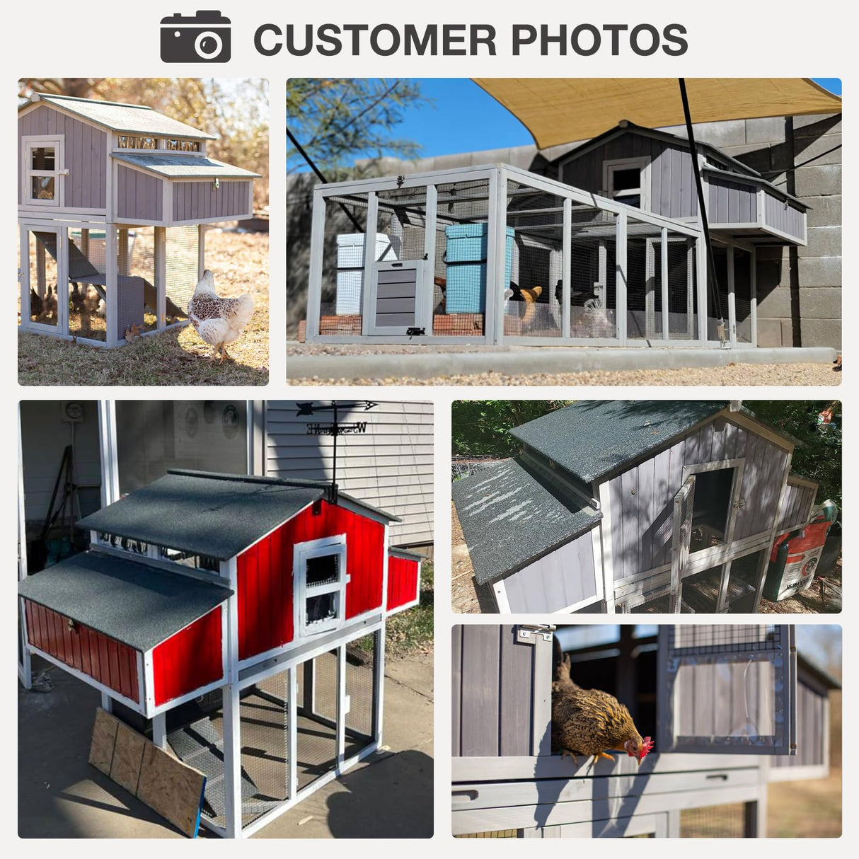 MEDEHOO Large Chicken Coop Folding Design Easy to Set Up Portable Chicken House for Outdoor with Two Nesting Box, Leakproof Pull-on Tray, and UV-Resistant Roof Panel