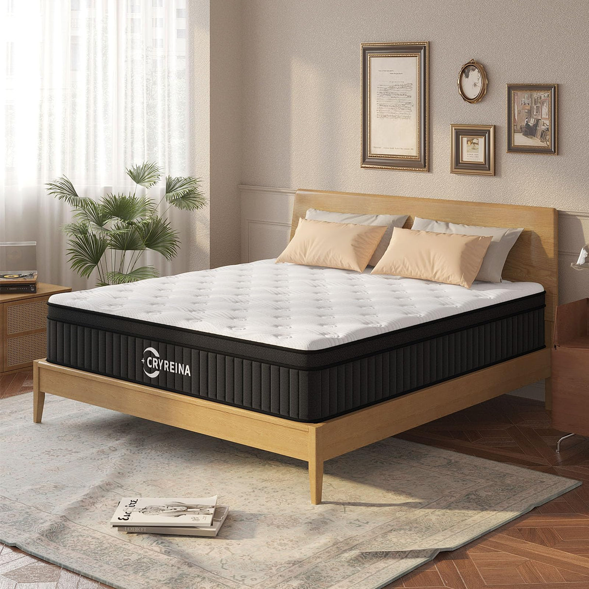 Queen Mattress 10 Inch, Queen Size Mattresses Hybrid in a Box