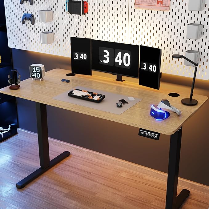 Electric Height Adjustable Standing Desk, 48x24 Inchs Stand Up Computer Desk