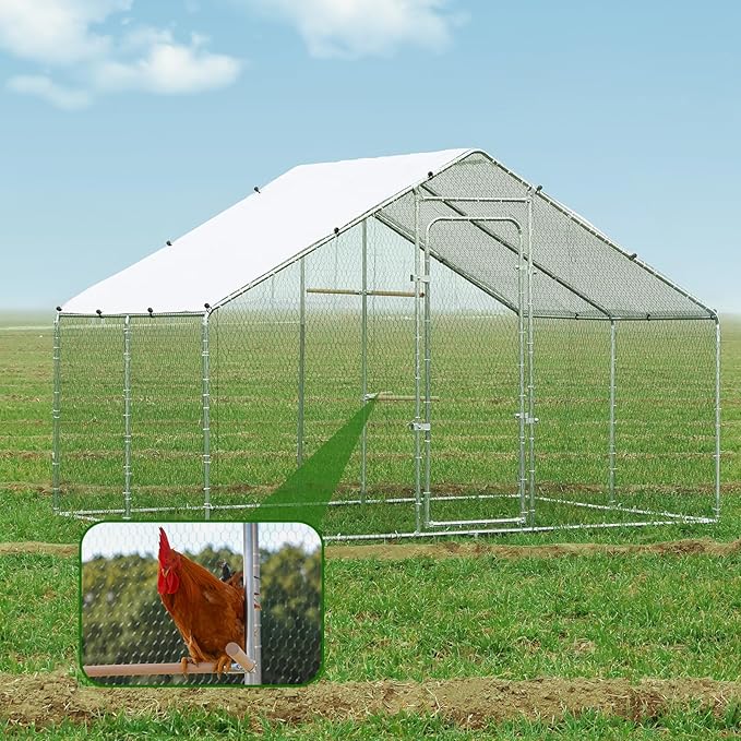 SkyRun Narrow Walk-In Metal Chicken Coop with PE Roof & Climbing Frame