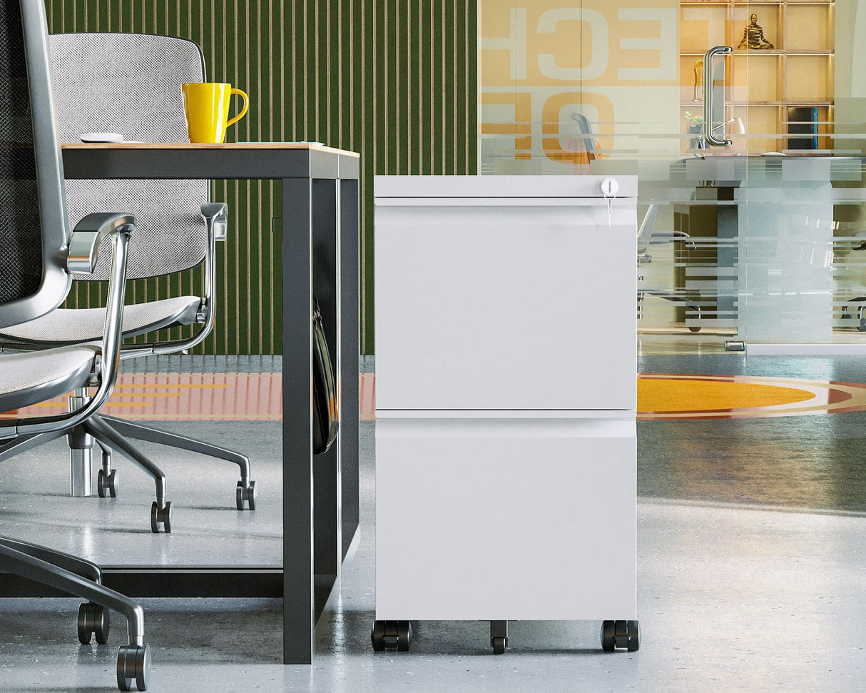 File Cabinet for Home Office, Fully Assembled Filing Cabinet 2 Drawer Rolling File