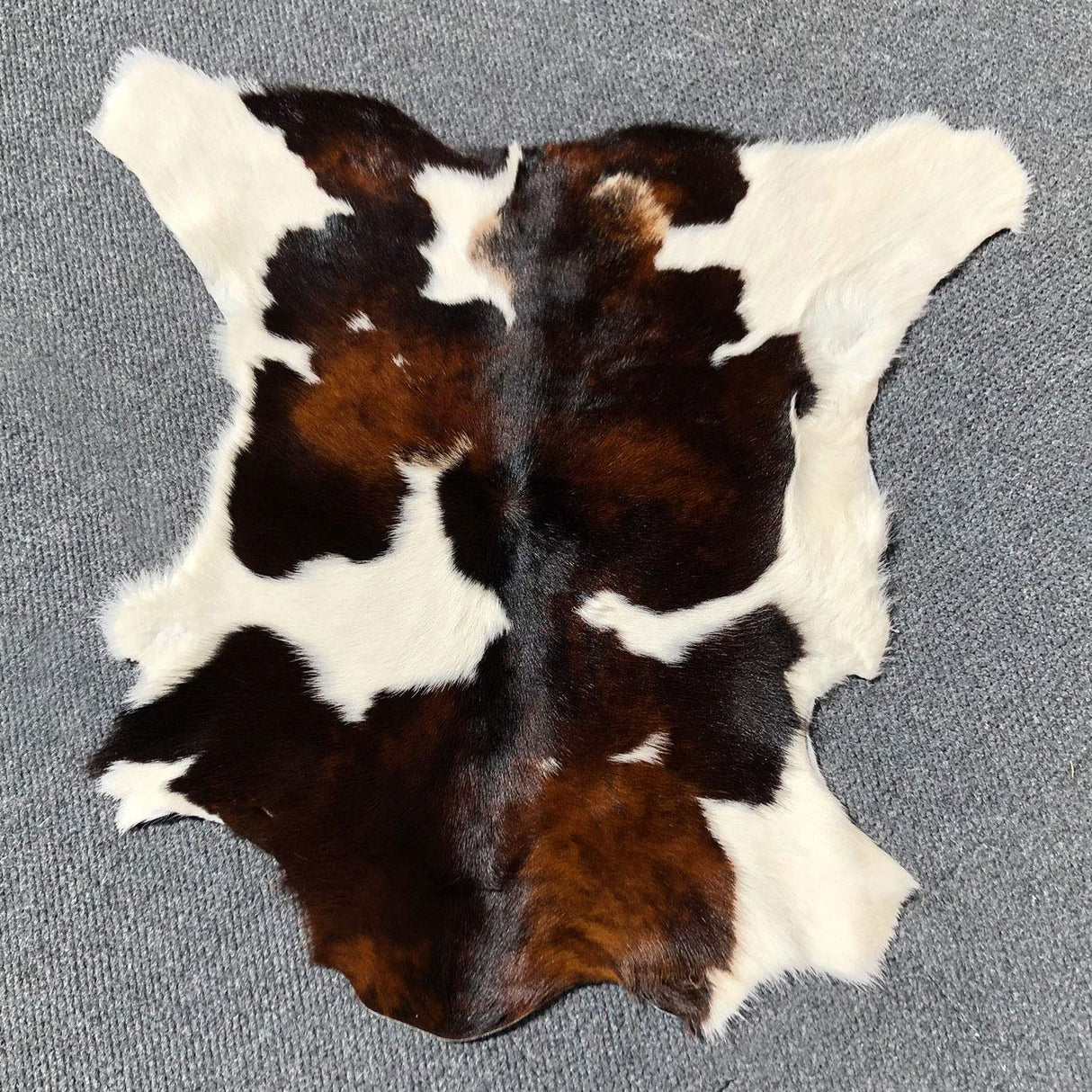 Small Tricolor Brazilian Calf Skin Calf Hide Exotic Cowhide Rug Tri Cow Hide Leather Cow