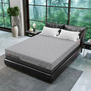 Queen 14 Inch Memory Foam Mattress in a Box for Back Pain