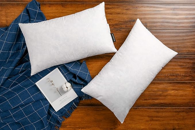 24×24 Premium Goose Down Feather Throw Pillow Inserts(Set of 2)-5% Down Filling
