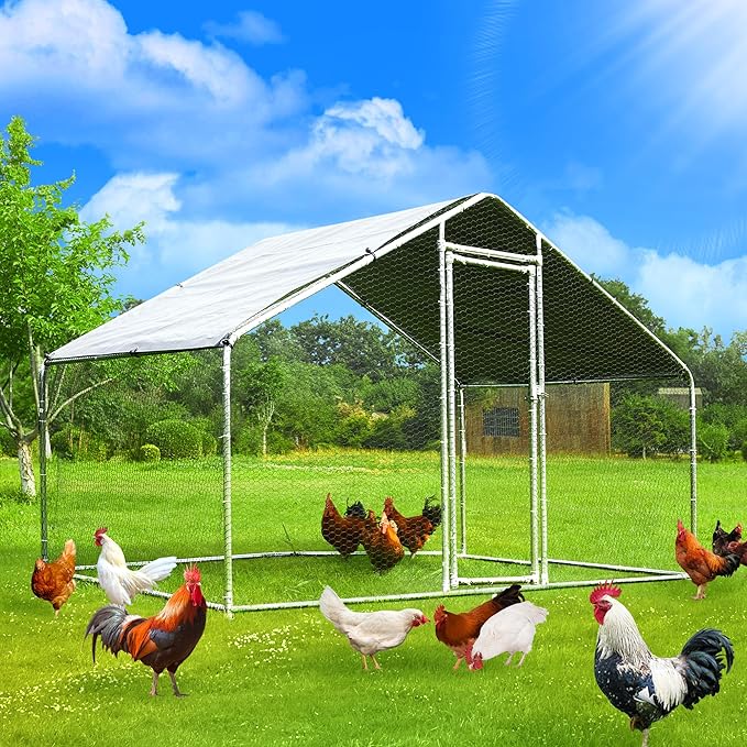 797Audio Galvanized Chicken Coop – Large Walk-In Poultry Run with Roof & Predator Door