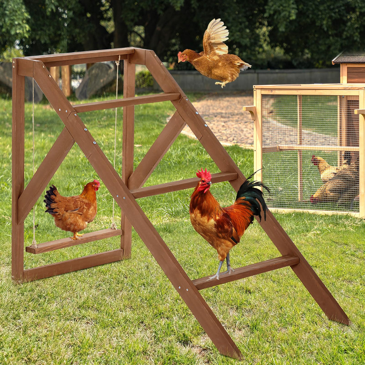 RoostJoy Chicken Perch with Swing – 2 Tier Wooden Ladder & Roost Bars
