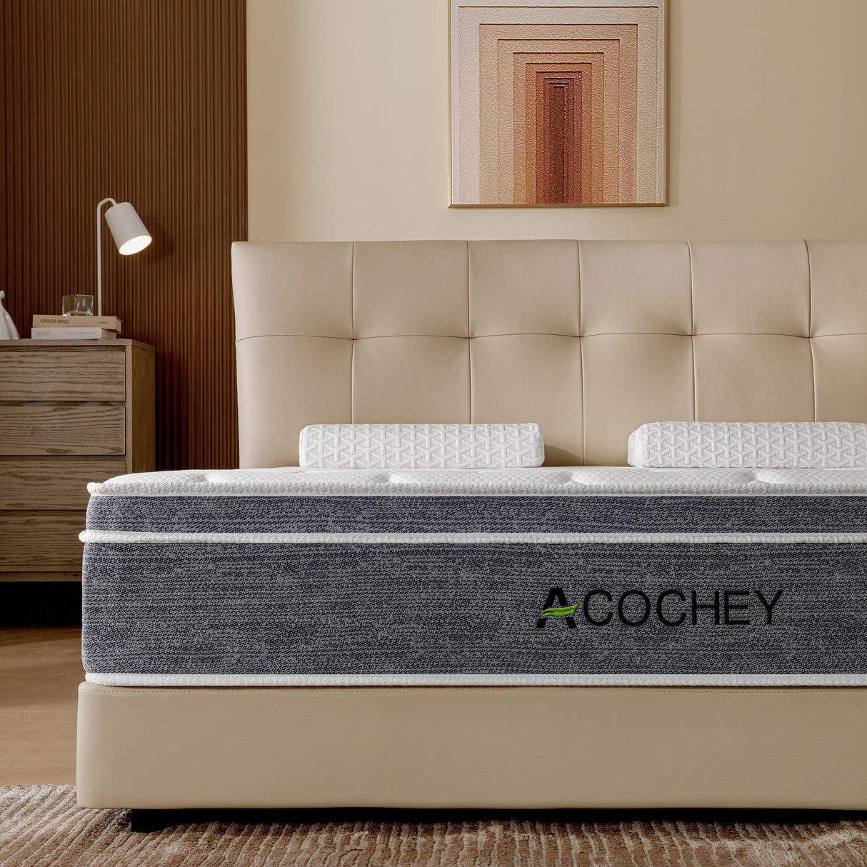 10 Inch Queen Mattress, Medium Firm Hybrid Mattresses in a Box