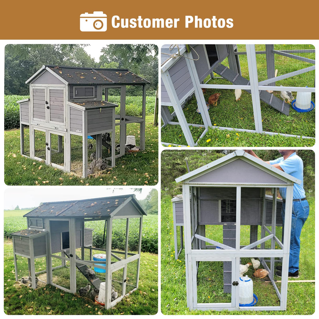 Large Chicken Coops for 6-10 Chickens, Hen House with 2 Nesting Boxes