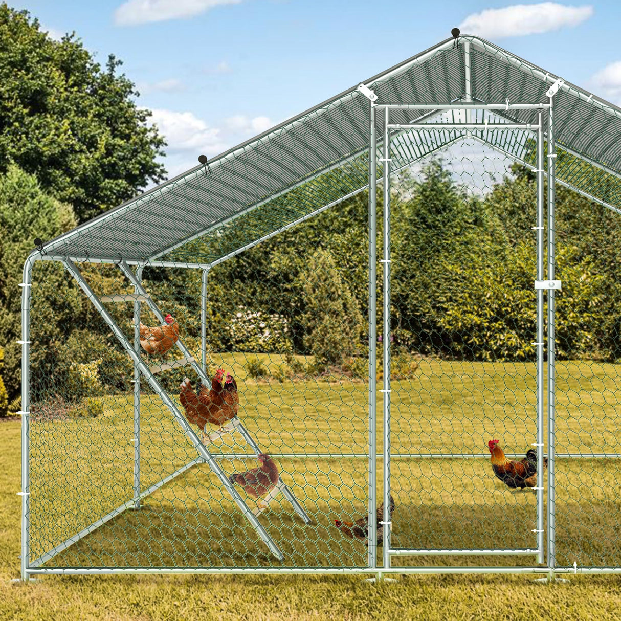 RoostMate Chicken Roost with Galvanized Pipe & Wood Design