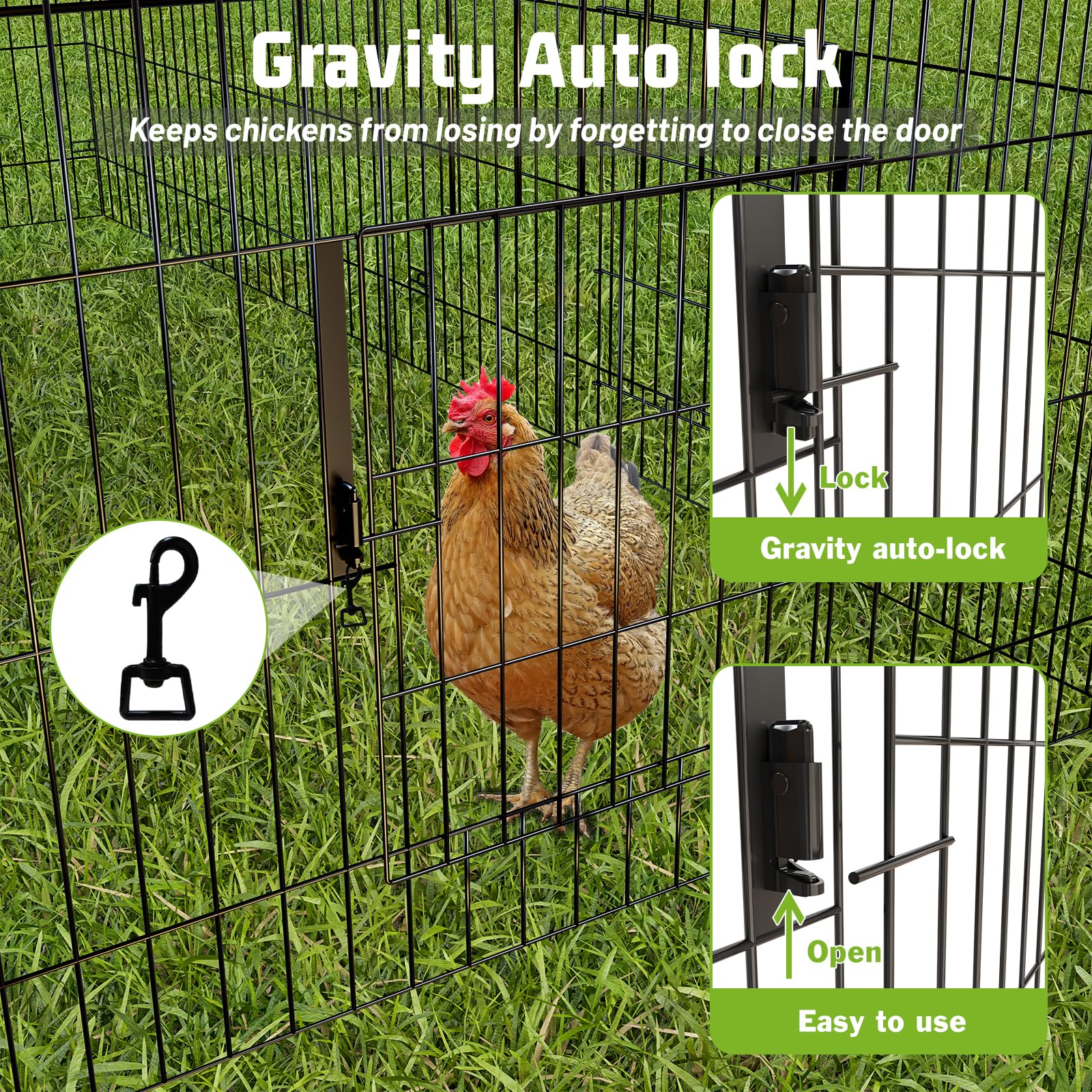 Chicken coop with a gravity auto-lock mechanism on a grassy background