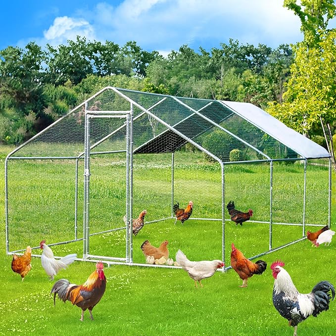797Audio Galvanized Chicken Coop – Large Walk-In Poultry Run with Roof & Predator Door