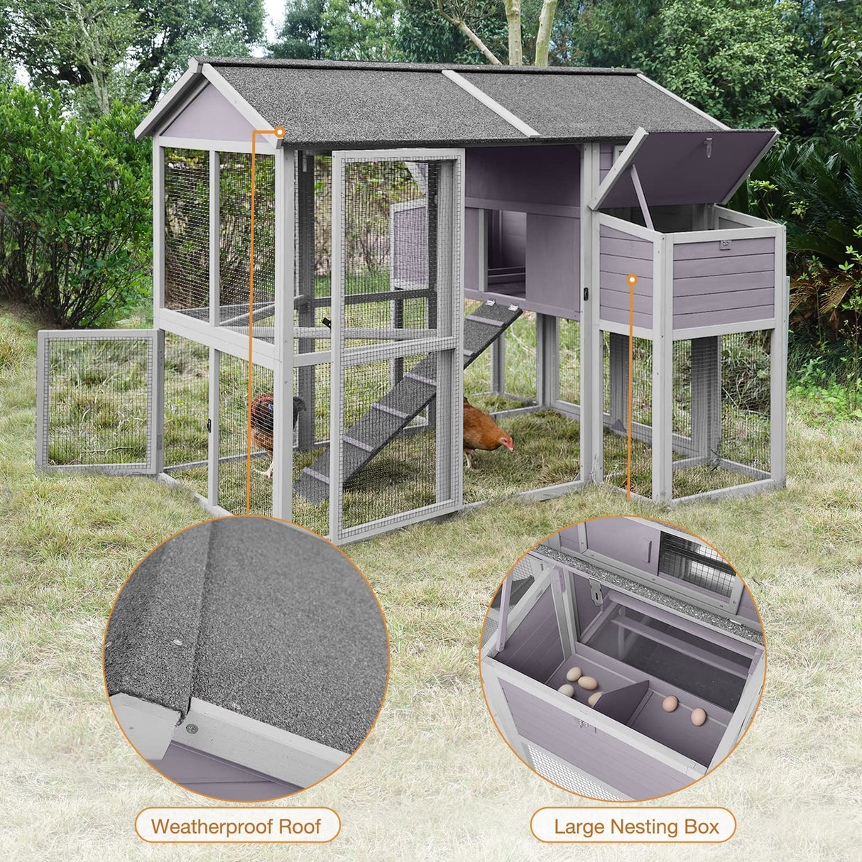 Large Chicken Coops for 6-10 Chickens, Hen House with 2 Nesting Boxes