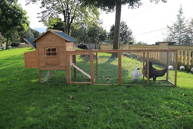 FeatherHaven Wooden Chicken Coop with Nesting Box & Sliding Tray