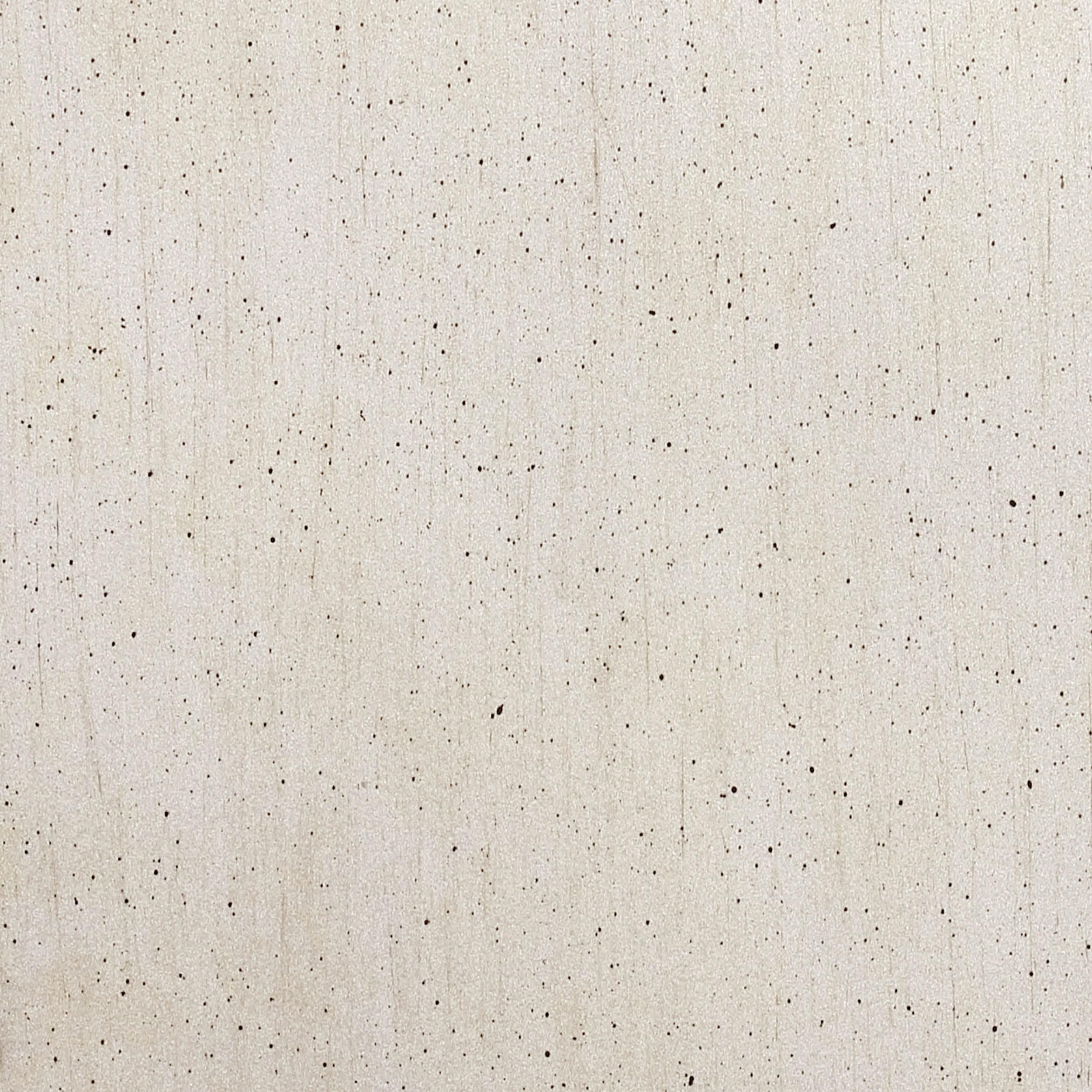 Coaster Home Furnishings Heidi Traditional 65-inch 9-Drawer Bedroom Dresser Clothing Storage Cabinet Wide Chest of Drawers Organizer Unit Metallic Platinum 222733