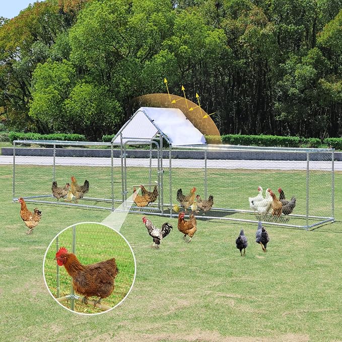 SkyRun Narrow Walk-In Metal Chicken Coop with PE Roof & Climbing Frame