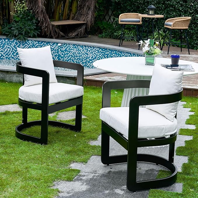 Patio Dining Chairs Set of 2, Modern Outdoor Dining Chairs with Cushions & Backrest