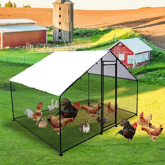 SteelHaven Large Metal Chicken Coop – Durable Outdoor Poultry Enclosure