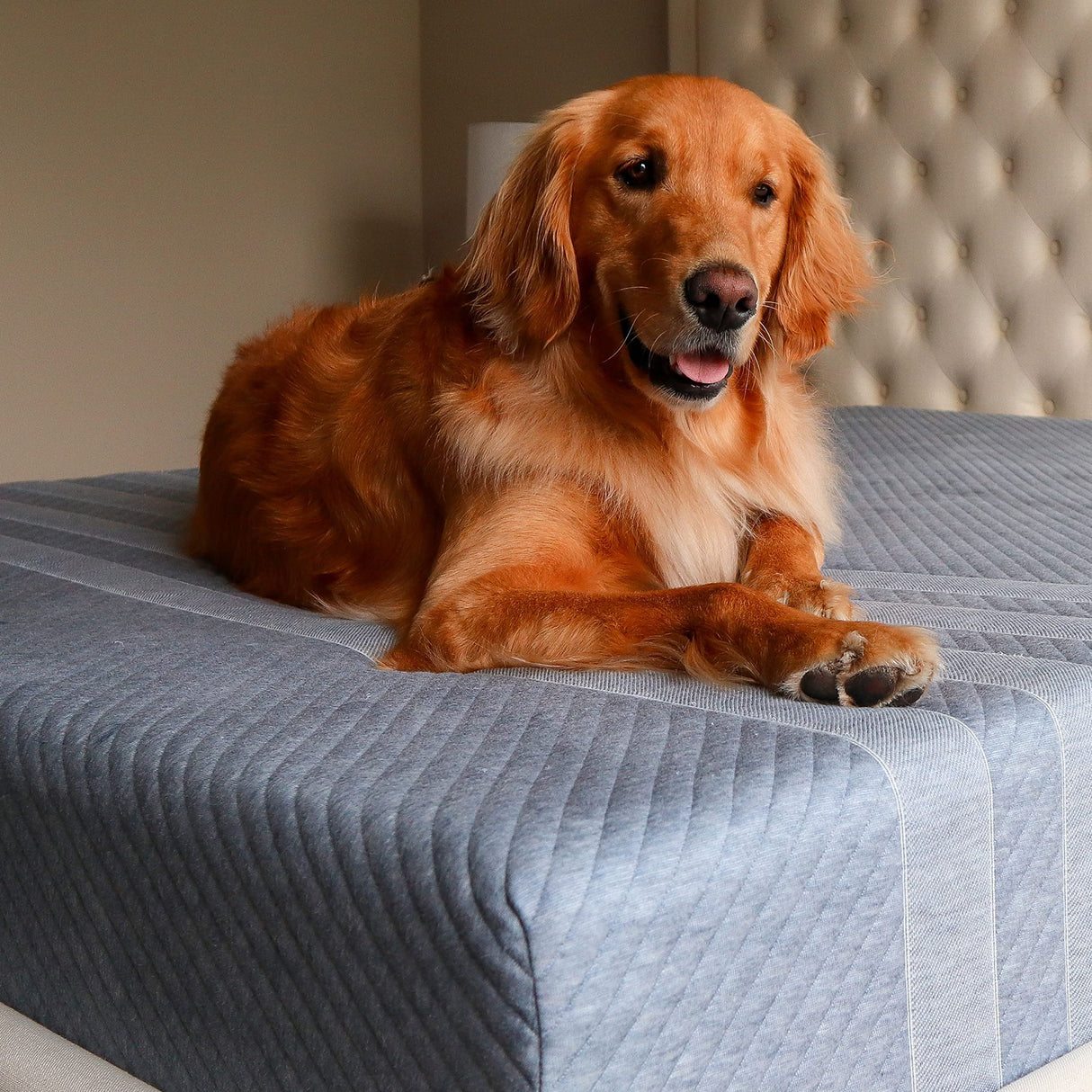 Studio 10" Mattress, Queen Size, Cooling Memory Foam