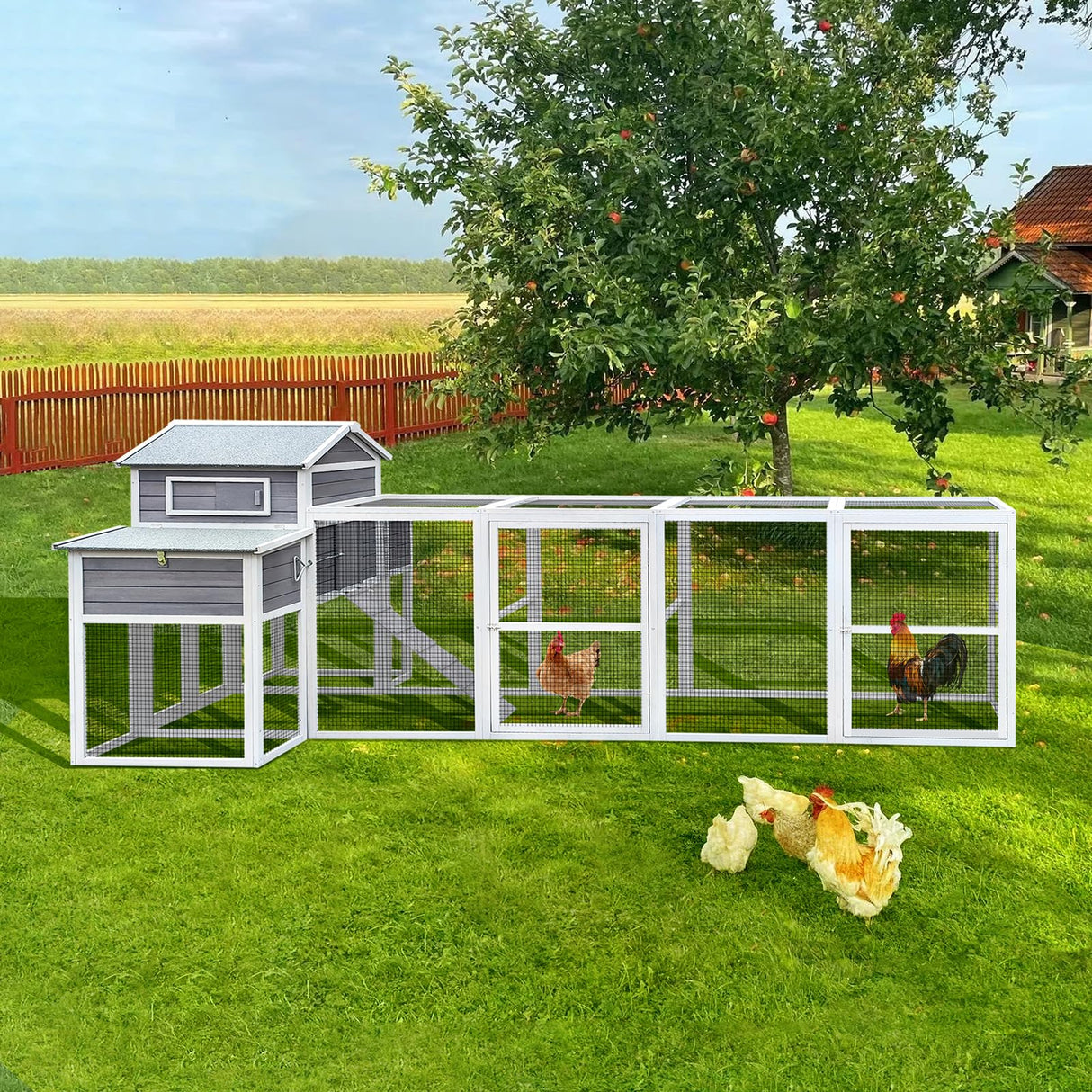 150" Large Chicken Coop for 6-10 Chickens, Outdoor Chicken House