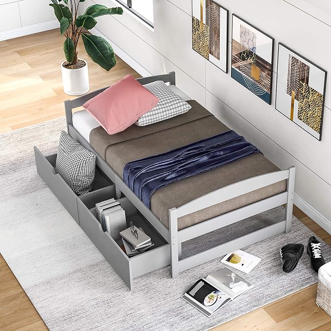 Twin Bed with Storage, Twin Size Daybed with 2 Drawers