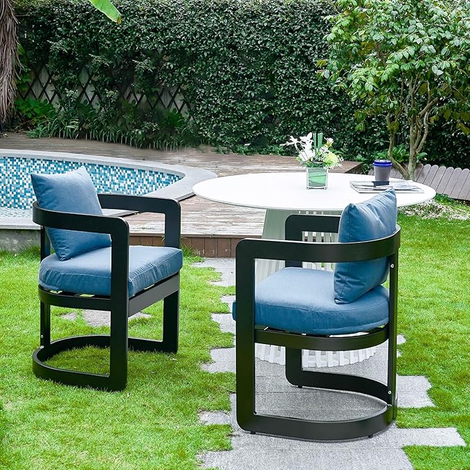 Patio Dining Chairs Set of 2, Modern Outdoor Dining Chairs with Cushions & Backrest