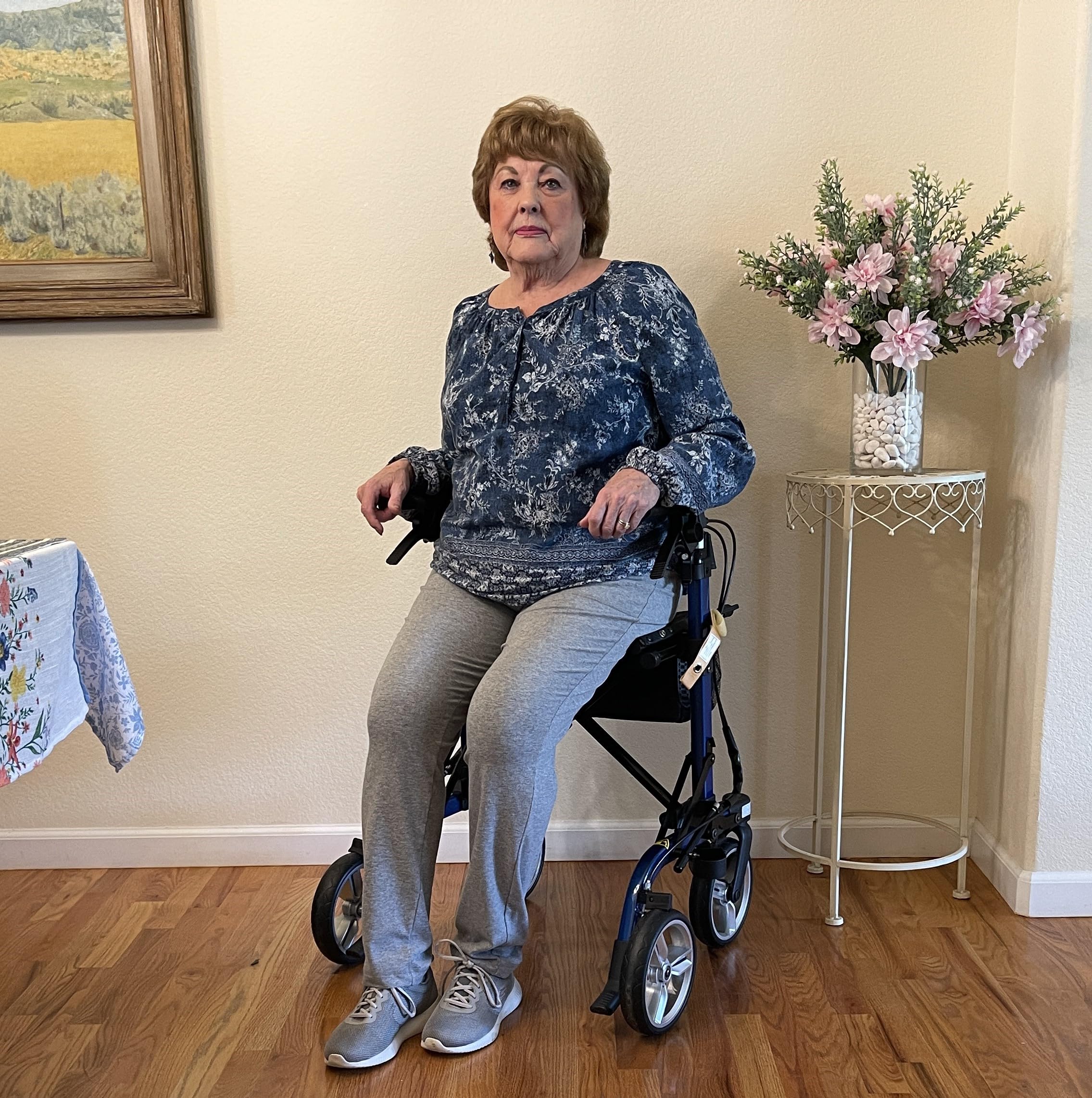 Fits Airplanes Overhead bin, All Terrain, Light-Weight Rollator Walker