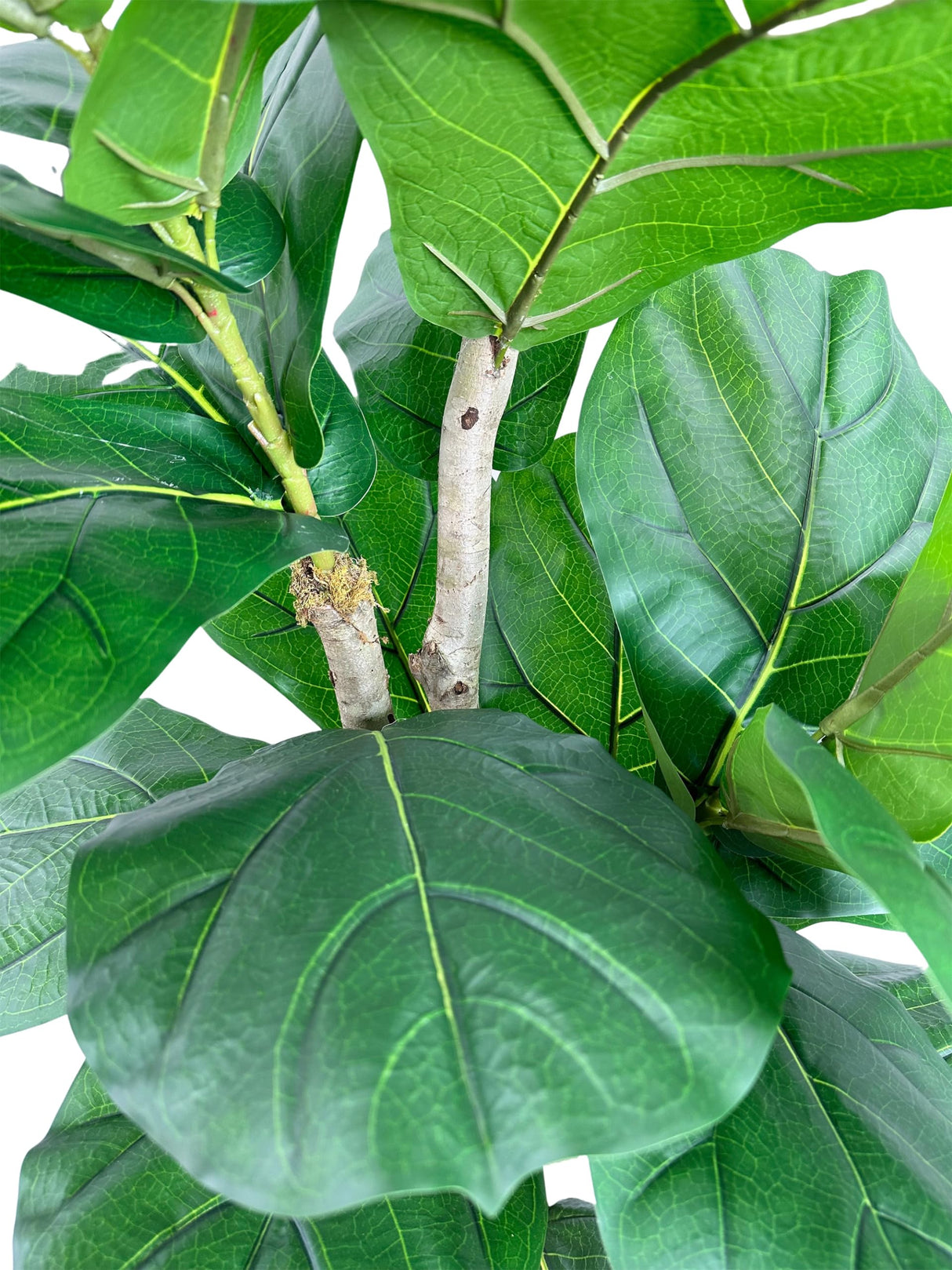 Handmade 7' Artificial Large Leaf Fig Tree - Artificial Tree Home and Office Decor - Real Touch - Living Room or Office