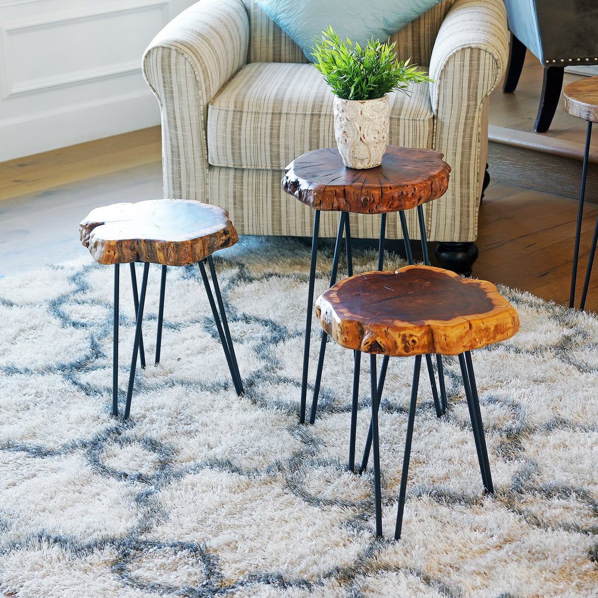 Unique Shape Natural Wood Stump Rustic Surface End Table