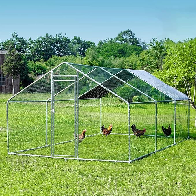 AvianFort Large Chicken Coop – Galvanized Frame with UV Roof & Predator-Safe Mesh