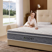 10 Inch Queen Mattress, Medium Firm Hybrid Mattresses in a Box