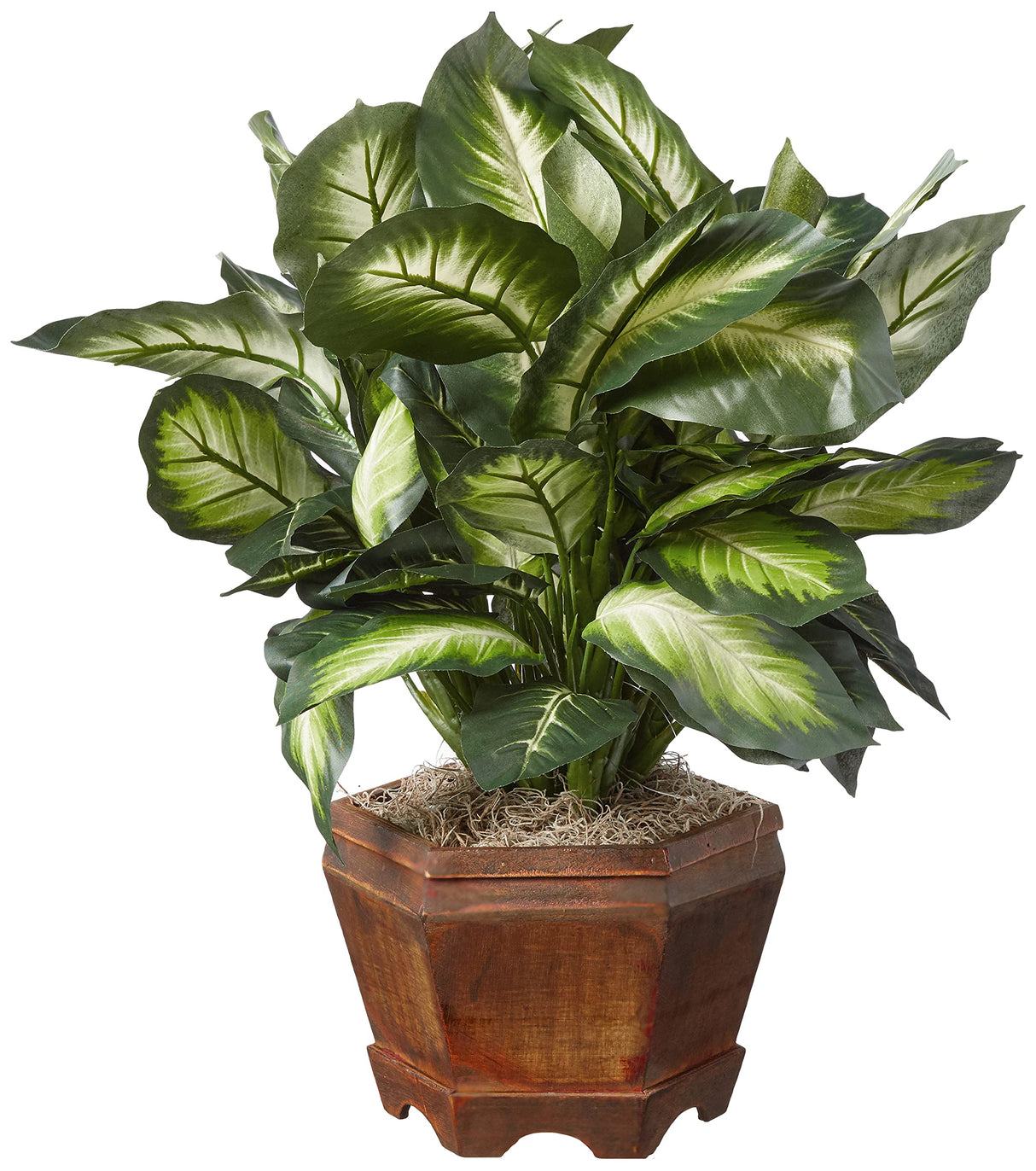 22IN Artificial Triple Golden Dieffenbachia Plant with Decorative Wood Planter