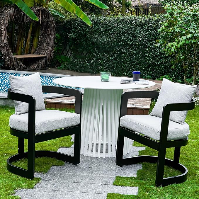 Patio Dining Chairs Set of 2, Modern Outdoor Dining Chairs with Cushions & Backrest