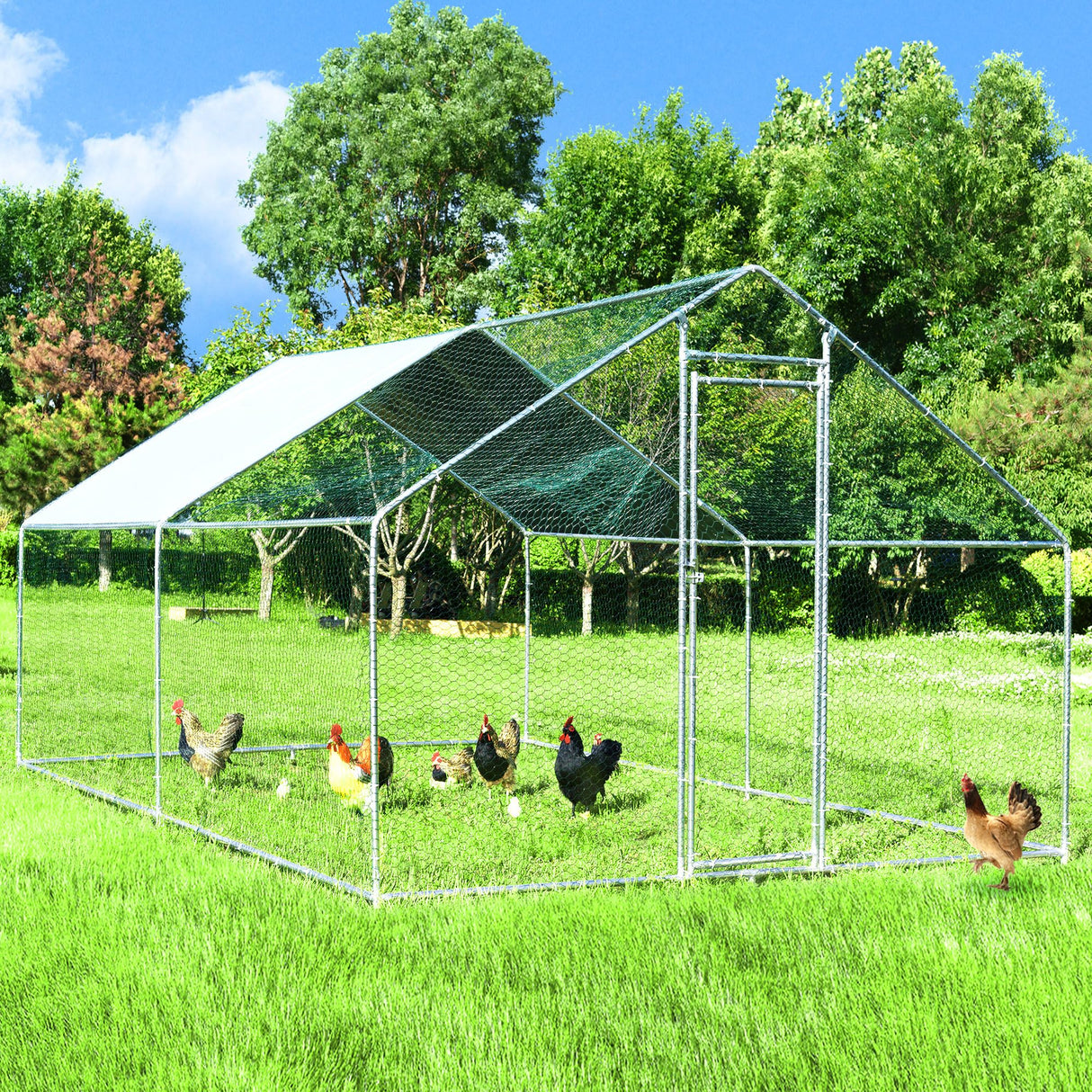 SpireTop XL Walk-In Metal Chicken Coop with PE Tarp Roof