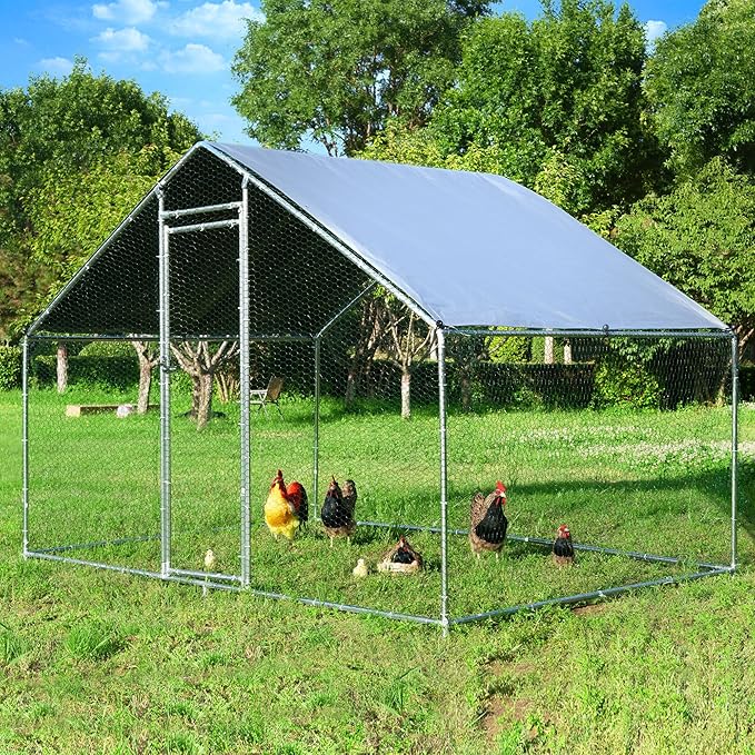 AvianFort Large Chicken Coop – Galvanized Frame with UV Roof & Predator-Safe Mesh