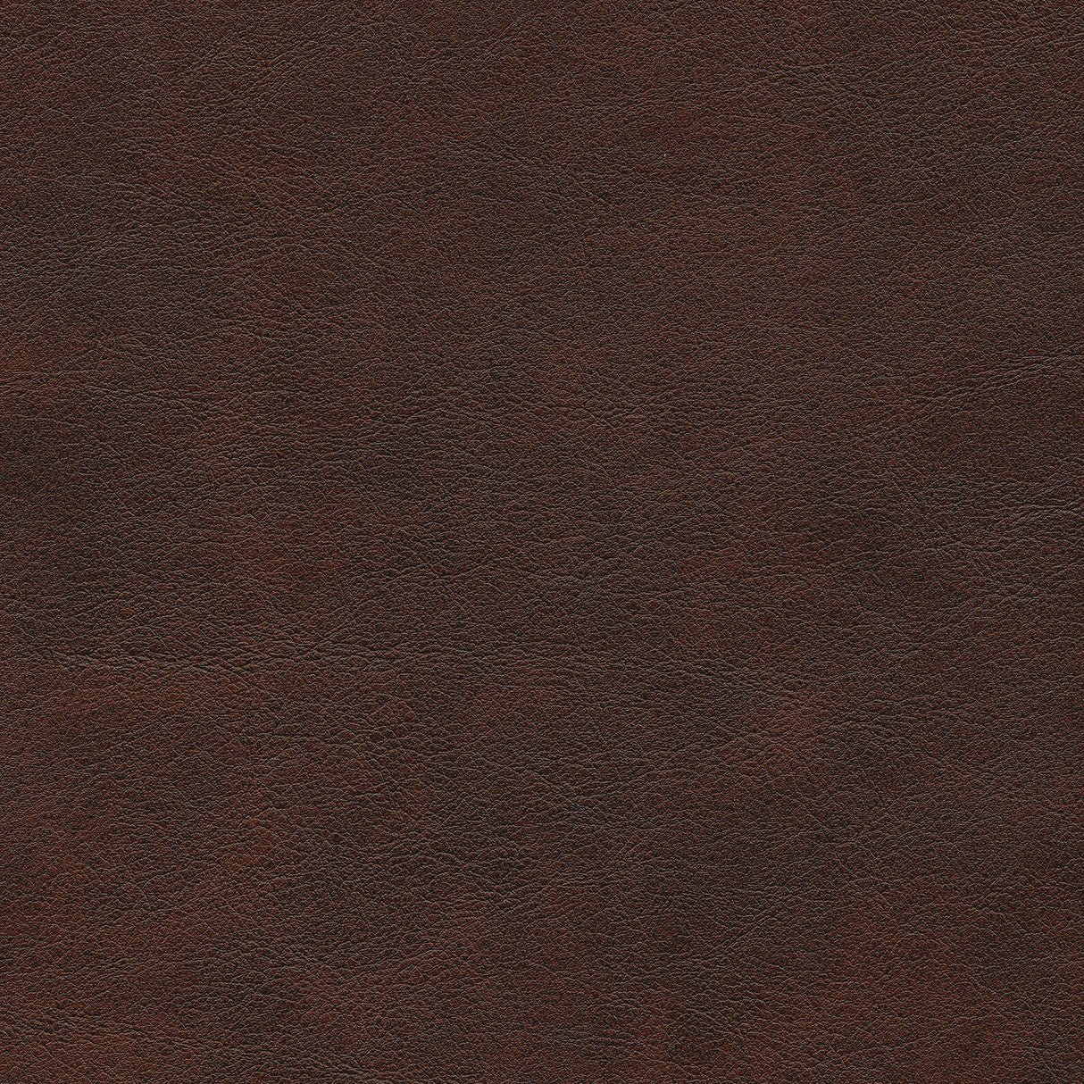 Double Reclining Loveseat, Brown