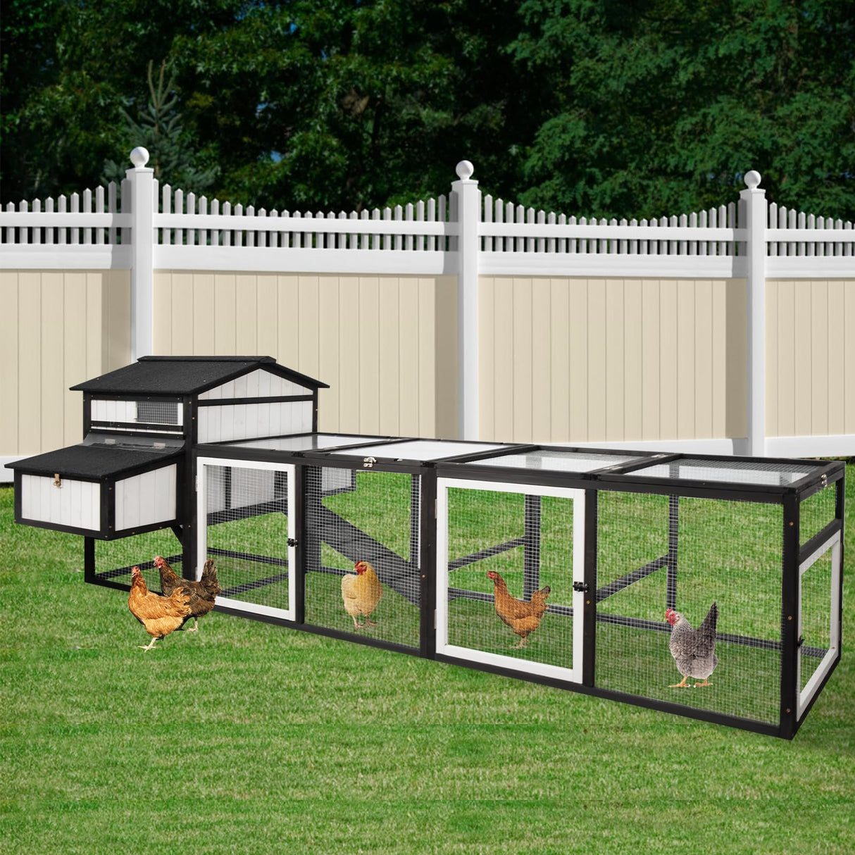 Backyard poultry hutch with perches and pull-out cleaning tray