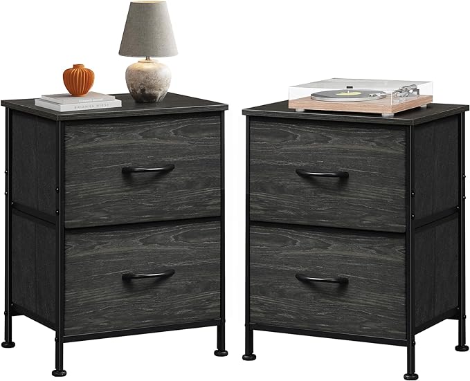 Nightstand Set of 2, 2 Drawer Dresser for Bedroom, Small Dresser with 2 Drawers