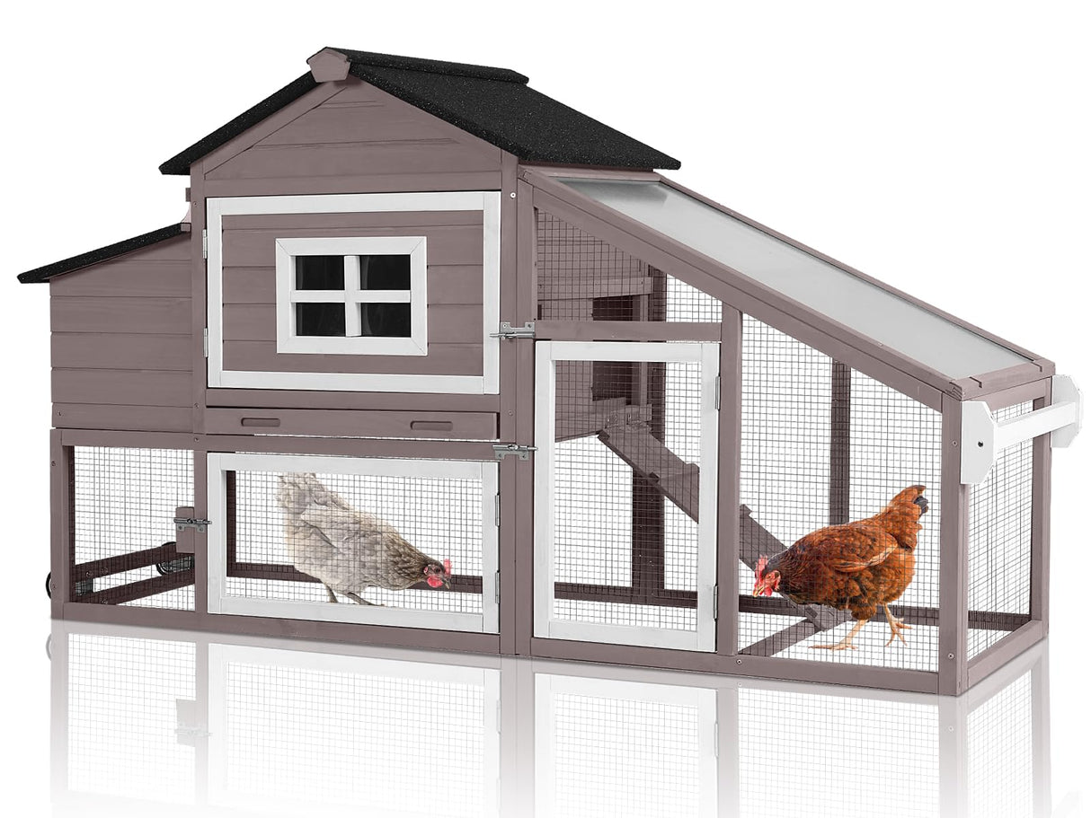 Chicken house with nesting box, tray, and playpen