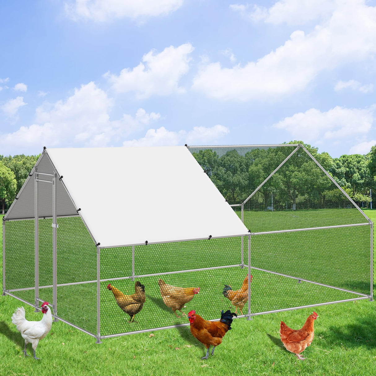 CoopGuard walk-in galvanized steel chicken coop with PE waterproof cover and secure mesh fencing.