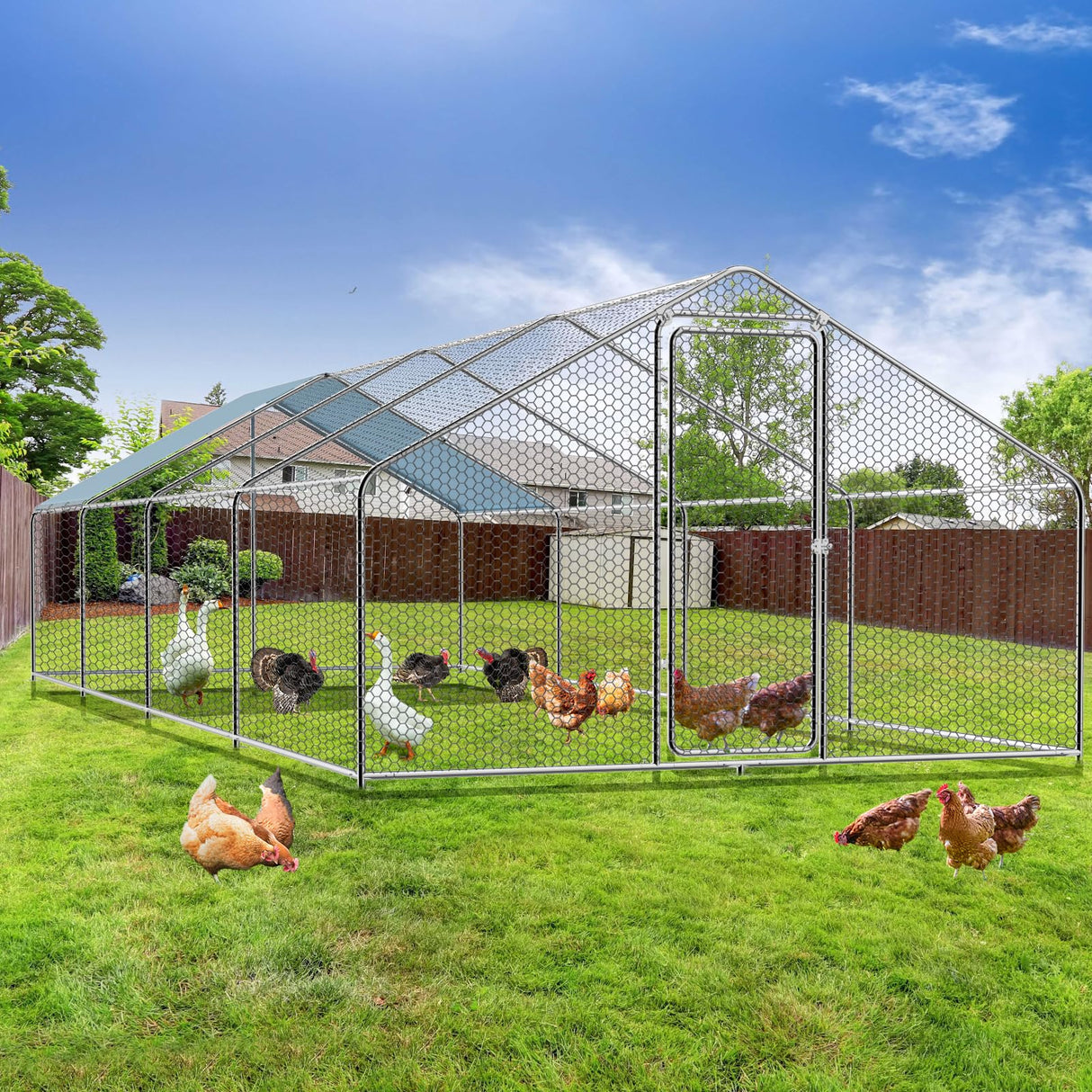 Heavy-duty galvanized steel chicken run for outdoor use