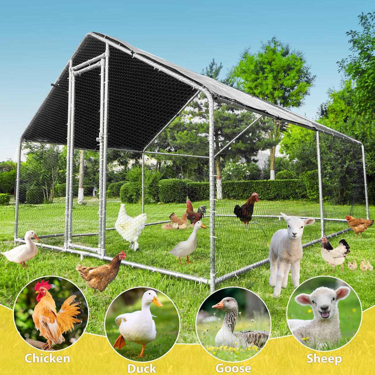 Large chicken pen with roof, suitable for chickens