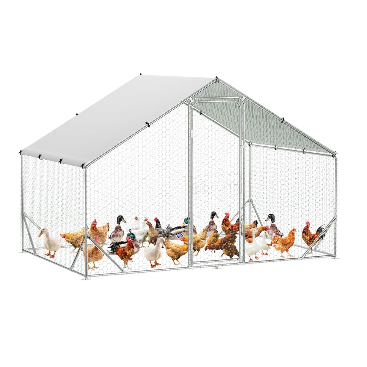 Large multi-animal outdoor coop for poultry, rabbits, ducks, and dogs