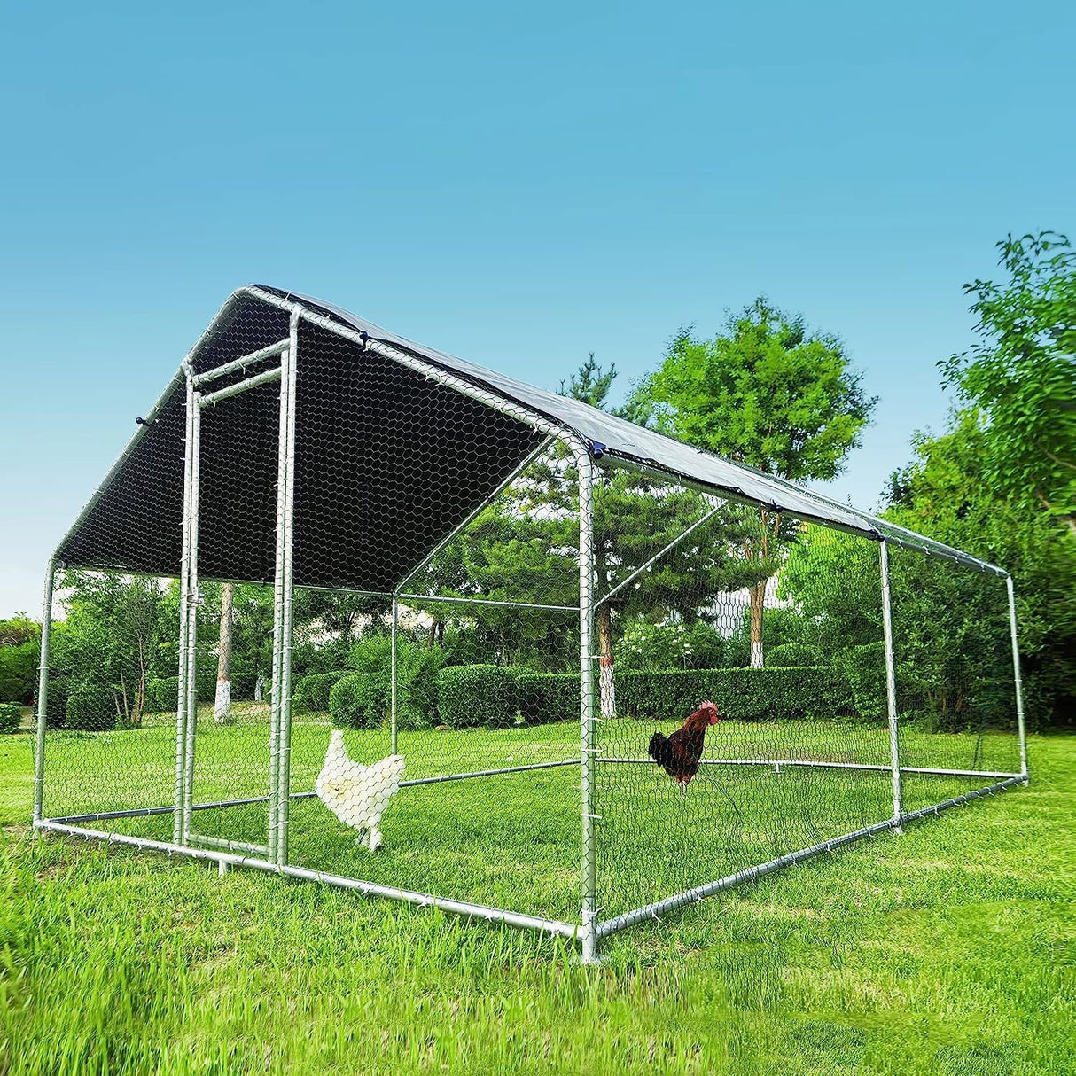 Large walk-in poultry pen with UV-proof tarp and reinforced steel frame