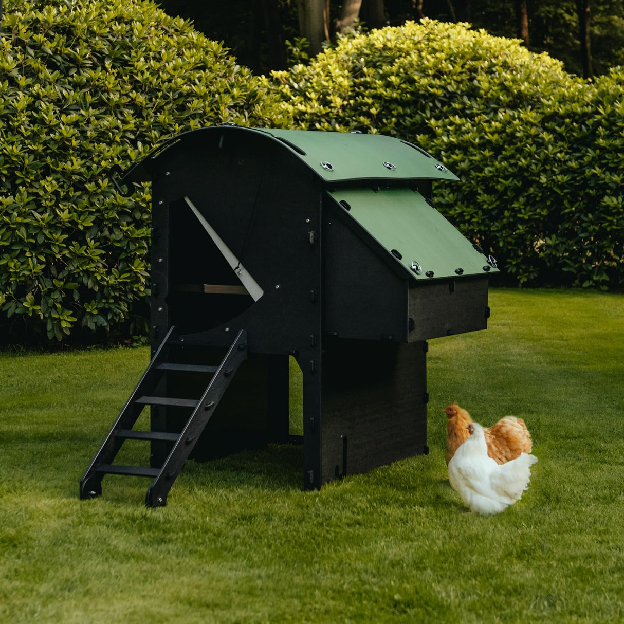 Nestera portable plastic chicken coop with locking doors